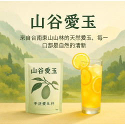 懿慧11號 網拍班114-3懿慧#AI創業簡報#喬瑟夫的媽#山谷愛玉
