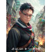 阿維#財務長 CFO 財力資源管理#MICE114-2