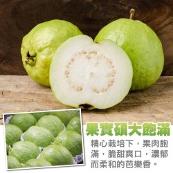 網拍班114-3-15美珍(創業簡報)-元元水果行
