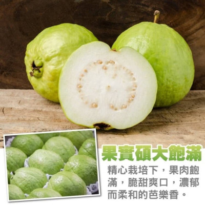 網拍班114-3-美珍(創業簡報)