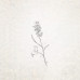 婚禮找丸子，幸福閣圓滿/婚禮/婚禮主持/婚禮顧問/婚禮企劃