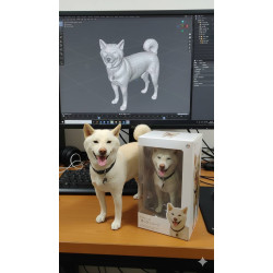 網拍班114-4 #曾勇 #自我介紹 #美食 #腎友 #寵物 #毛小孩愛心行銷 網拍班114-4 #曾勇 #自我介紹 #美食 #腎友 #寵物 #毛小孩愛心行銷